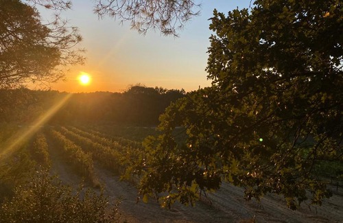 Mondragon House | La Ruche aux Vins mille Senteurs - Terres du Sud
