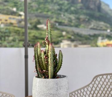 Las Aguas Apartment | La San Juanita