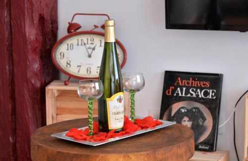 Colmar Centre Ville Apartment | La stub de la Petite Venise