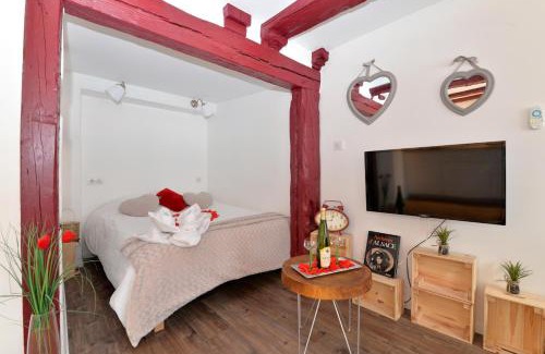 Colmar Centre Ville Apartment | La stub de la Petite Venise