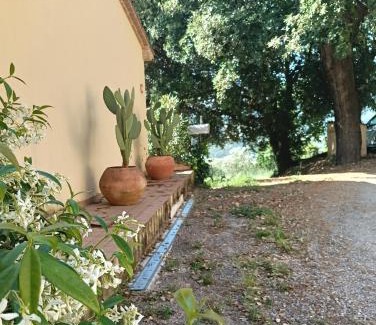 Montescudaio Apartment | La tana del riccio