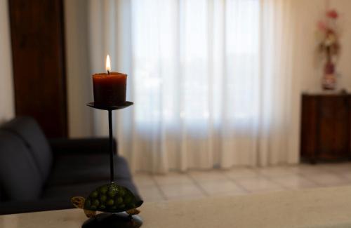 Siena Apartment | La Tartaruga