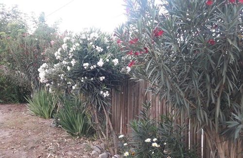 Chilecito House | LA TATITA Complete house 5km from Chilecito