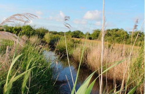 Grayan-Et-L'Hopital House | La Tonne du Médoc gîte insolite