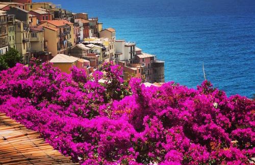 Manarola House | La Torretta Lodge