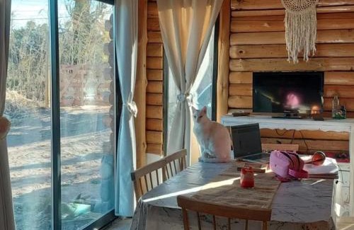 Rama Caida Apartment | La victoria San Rafael Mendoza