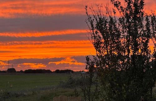 Cappelle-Brouck Other | La Vie est Bulle, une nuit insolite sous les étoiles, au calme absolu, avec petit déjeuner