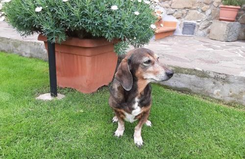La Spezia Bed & Breakfast | La Villa