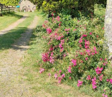 Buais-les-Monts Bed & Breakfast | La Ville - Les Petits Champs
