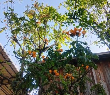 Nong Khae Hotel | Laanrablom Bed&Breakfast