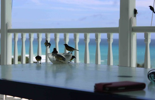 Anse des Rochers Villa | lagoon villa swimming pool sea view 180 °