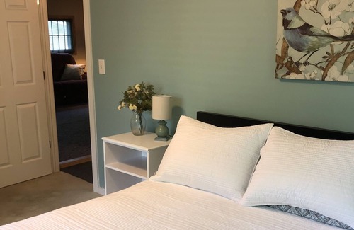 Lake Cottage | Lake George/Shingle Lake ~ WIFI ~ Pet Friendly ~ Cable - Walk to Lake