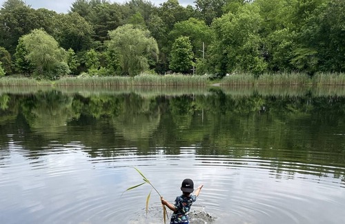 Middle Island Other | Lake house 1.3 acres-With Cable-activities including kayaks, quad track, fishing