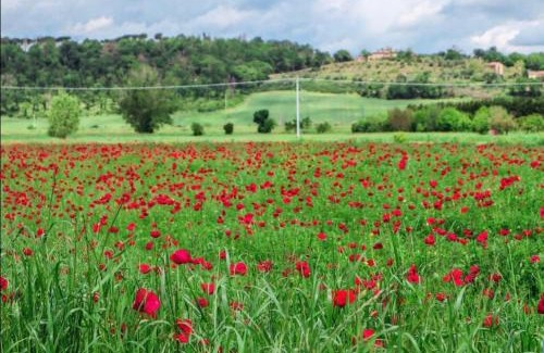 Po' Bandino Apartment | Lake Trasimeno Modern House