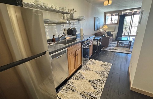 Lutsen Apartment | Lake View Ski-in/out Lutsen Mtn Pets Welcome