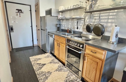 Lutsen Apartment | Lake View Ski-in/out Lutsen Mtn Pets Welcome