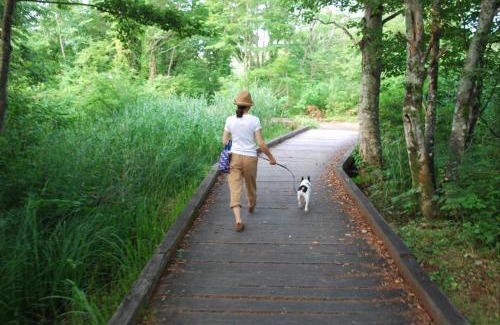 Kitashiobara House | Lake village donaludo Pension