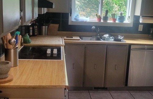 Christina Lake House | Lakefront & 40 mins from Red Mountain; cross country & fishing at your doorstep!