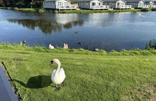 Flookburgh Resort | Lakeside location, sleeps 8, 3 bedrooms, fully glazed wrap around decking, Haven Lakeland, Lake District