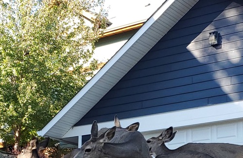 Westshore Estates House | Lakeview Studio Suite with Private Entrance