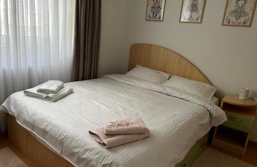 Suceava Apartment | Lalelelor Apartment