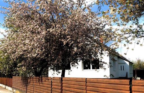 Asvanyraro House | Lali Vendégház