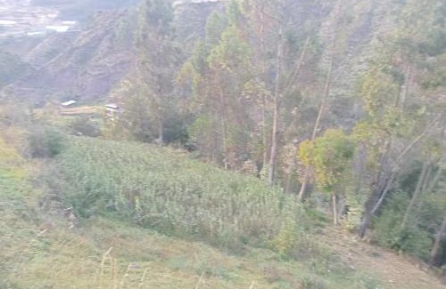 Puerto Inca Cabin | Land incas Cochahuasi lodge