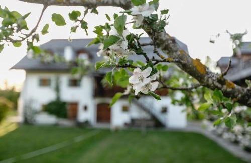 Thalgau Apartment | Landhaus am Fuschlsee