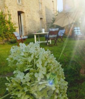 Wachow Apartment | Landhaus Sinneswandel