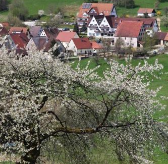 Kirchensittenbach Hotel | Landidyll Hotel Zum Alten Schloss
