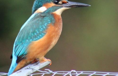 Langworth Bed & Breakfast | Langdale Lodge at Langdale Lakes, LINCOLN LN3 5BB