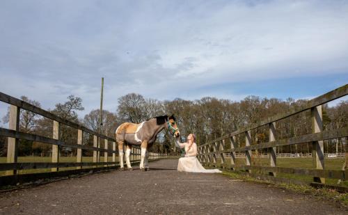 New Forest District House | Langford farmhouse - New Forest National Park Luxury 4bd, hot tub, cinema, 10 acres