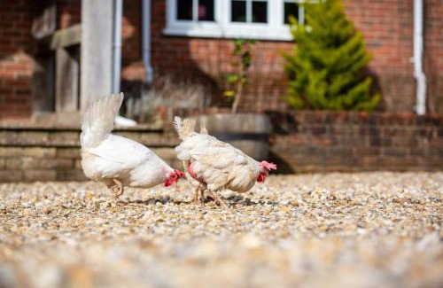 New Forest District House | Langford farmhouse - New Forest National Park Luxury 4bd, hot tub, cinema, 10 acres