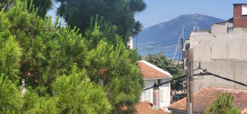 Istiaia-Aidipsos Apartment | Lantzos Studios