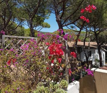 Castiglione della Pescaia Apartment | Lara Elite