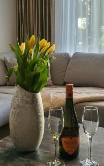 Brasov Apartment | Lara's Home