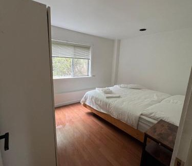 West Side House | Larch House in Vancouver West