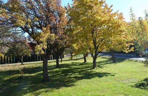 Risoul House | Large apartment in mountain house in Risoul - 05600
