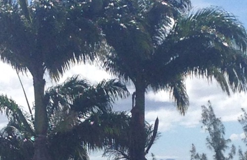 Mare Gailard Villa | Large Beautiful Villa spacious luxury large swimming pool sea view ideally located.