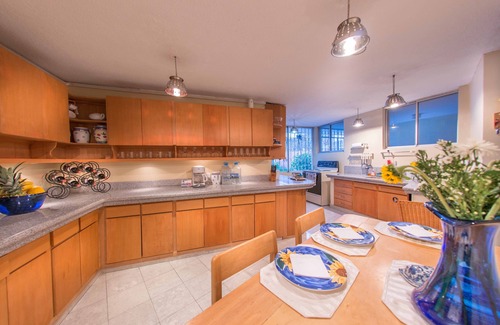 Financial District Apartment | LARGE & COMFORTABLE FAMILY/WORK HOME, HI-SPEED INT AND PRIVATE YARD , SLEEPS 10