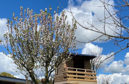 Plelo House | Large family home with cabin and wood-burning oven