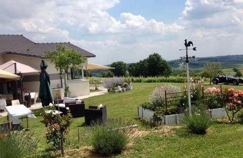 Loupiac House | LARGE HOUSE WITH SWIMMING POOL SURROUNDED BY VINEYARDS