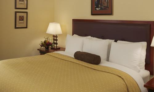 Snail Hotel | Larkspur Landing Extended Stay Suites Sunnyvale