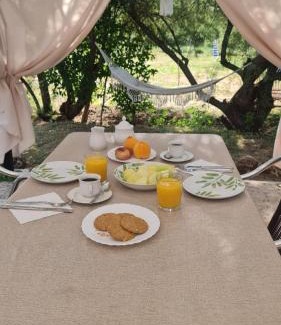 Henche House | Las Golondrinas de Henche