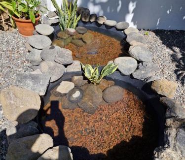 Guimar Apartment | Las palmeras