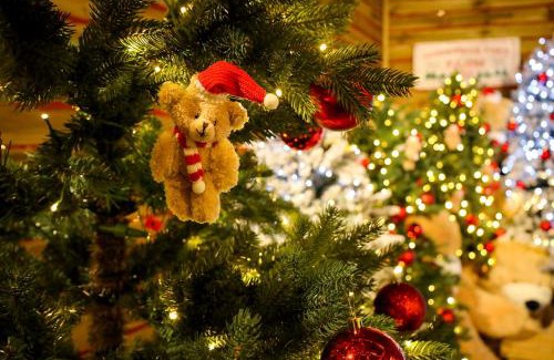 Dolsan-eup Resort | Latterace Resort