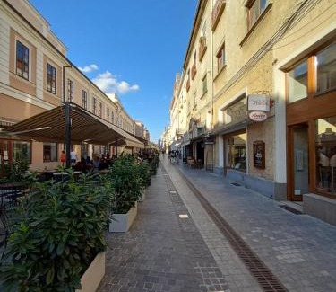Oradea Apartment | Laura Studio - Central