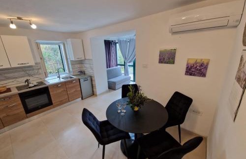 Zbicina Apartment | Lavanda apartman 1