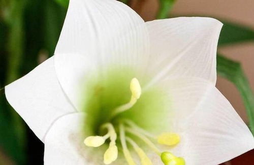 Mortlake Apartment | Lavender House, by Veeve