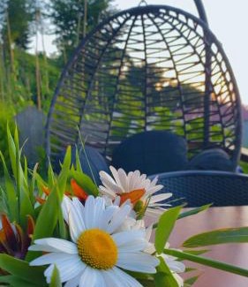 Cayeli Apartment | Lavinya Suit Bungalov